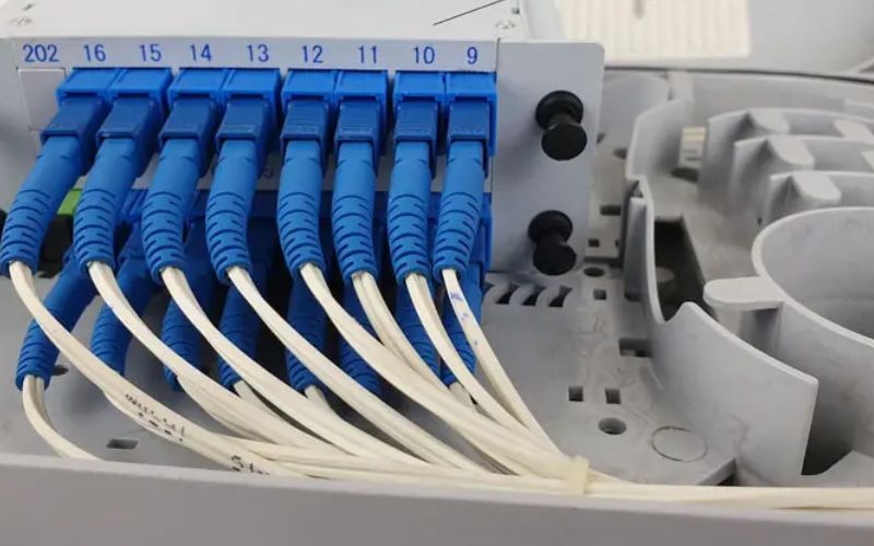 Đánh giá khả năng tương thích