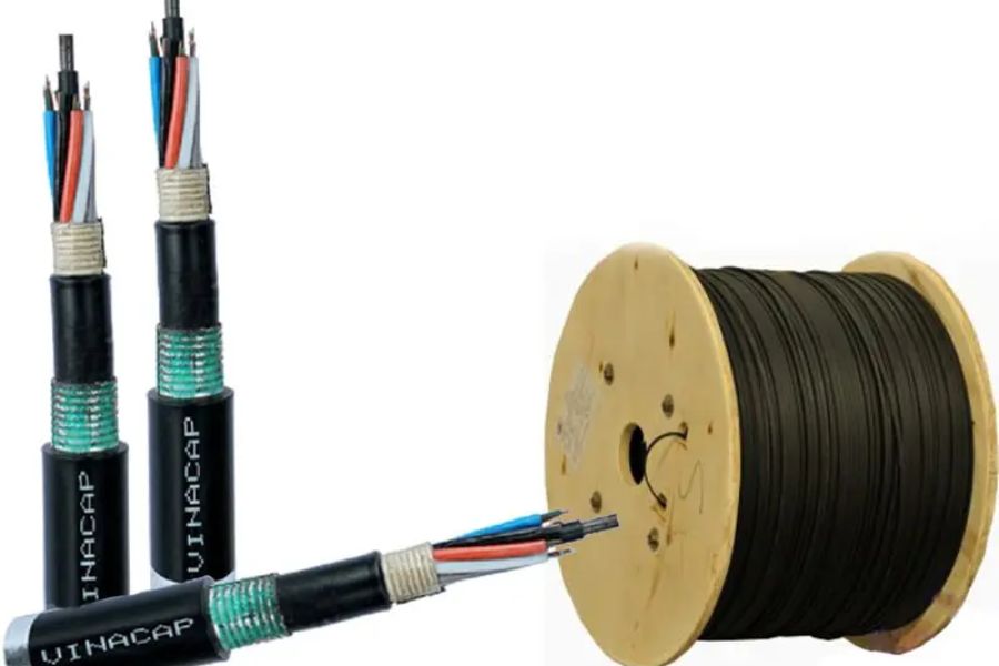 Dây cáp loại 12FO