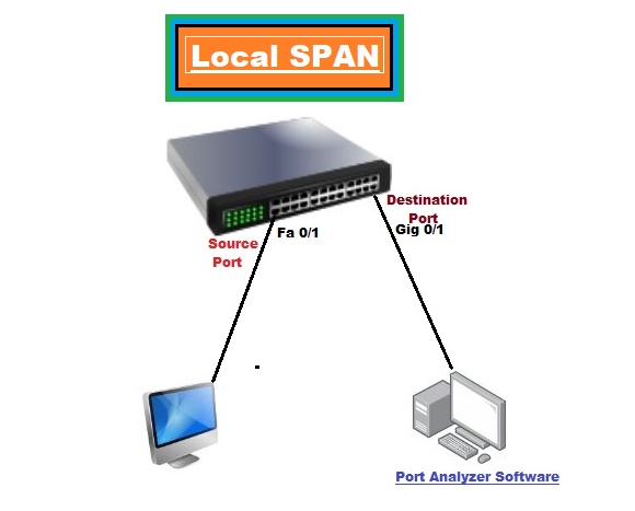 Port Mirroring (SPAN)