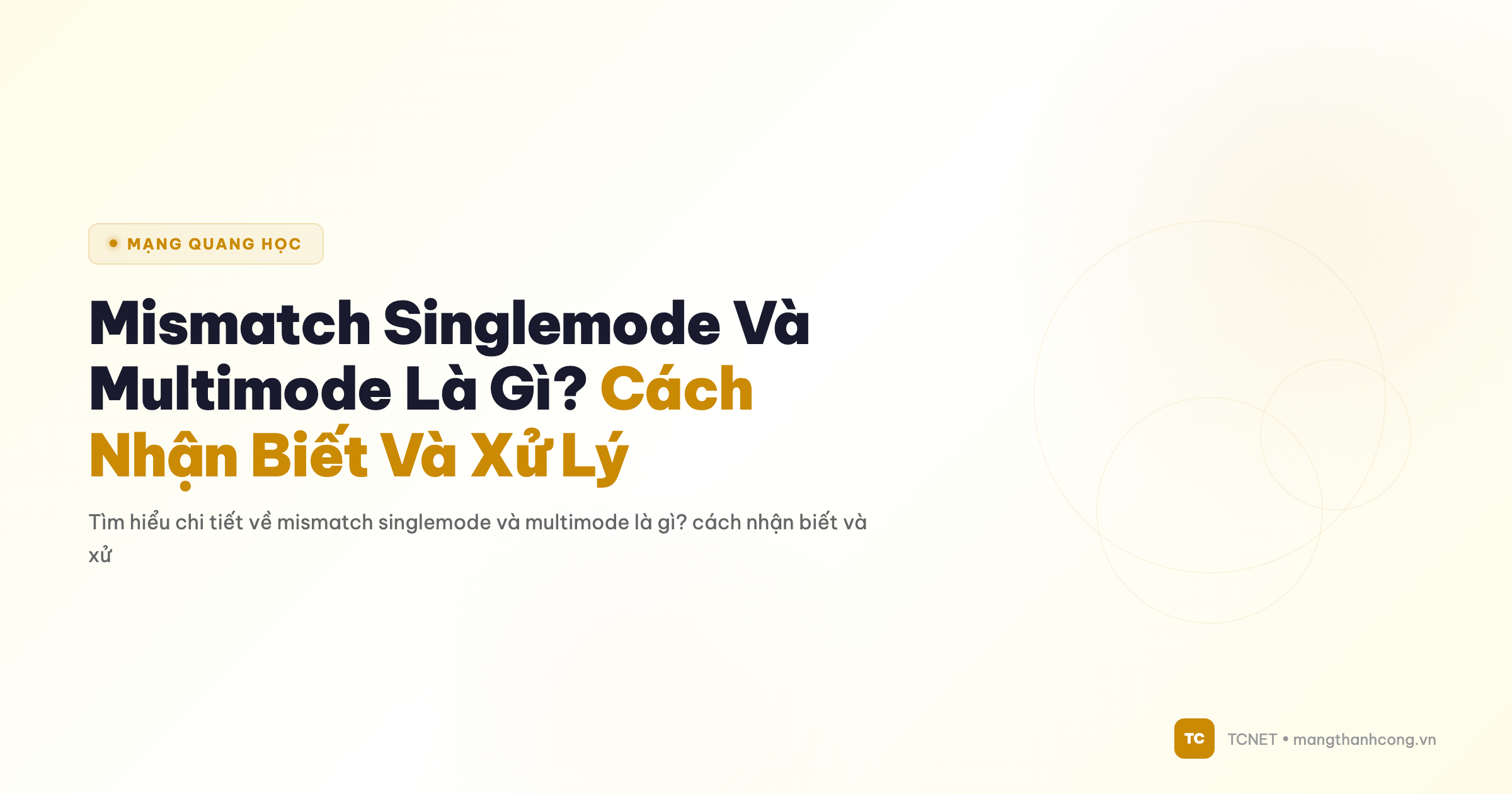 Mismatch Singlemode Và Multimode Là Gì? Cách Nhận Biết Và Xử Lý - TCNET mangthanhcong.vn