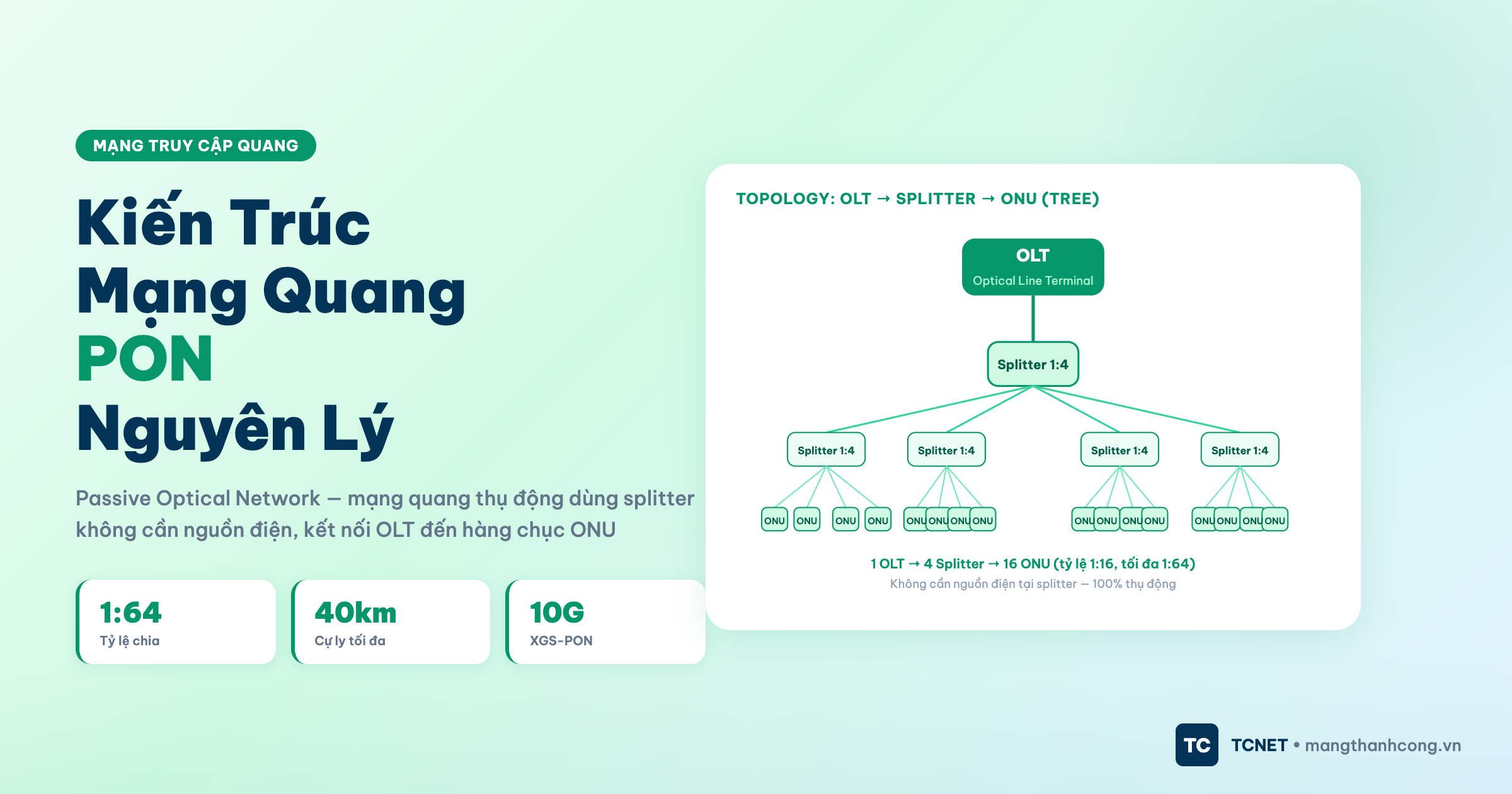 Kiến trúc mạng quang PON - sơ đồ cây splitter
